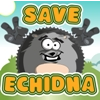 Save Echidna