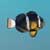 Fish Adventure